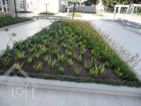 Image 8 - 249063
